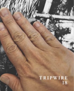 cover of tripwire 18 featuring art by Stephanie Syjuco, a light colored hand covering a black and white photo of a bamboo and thatch structure